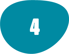 Paso 4